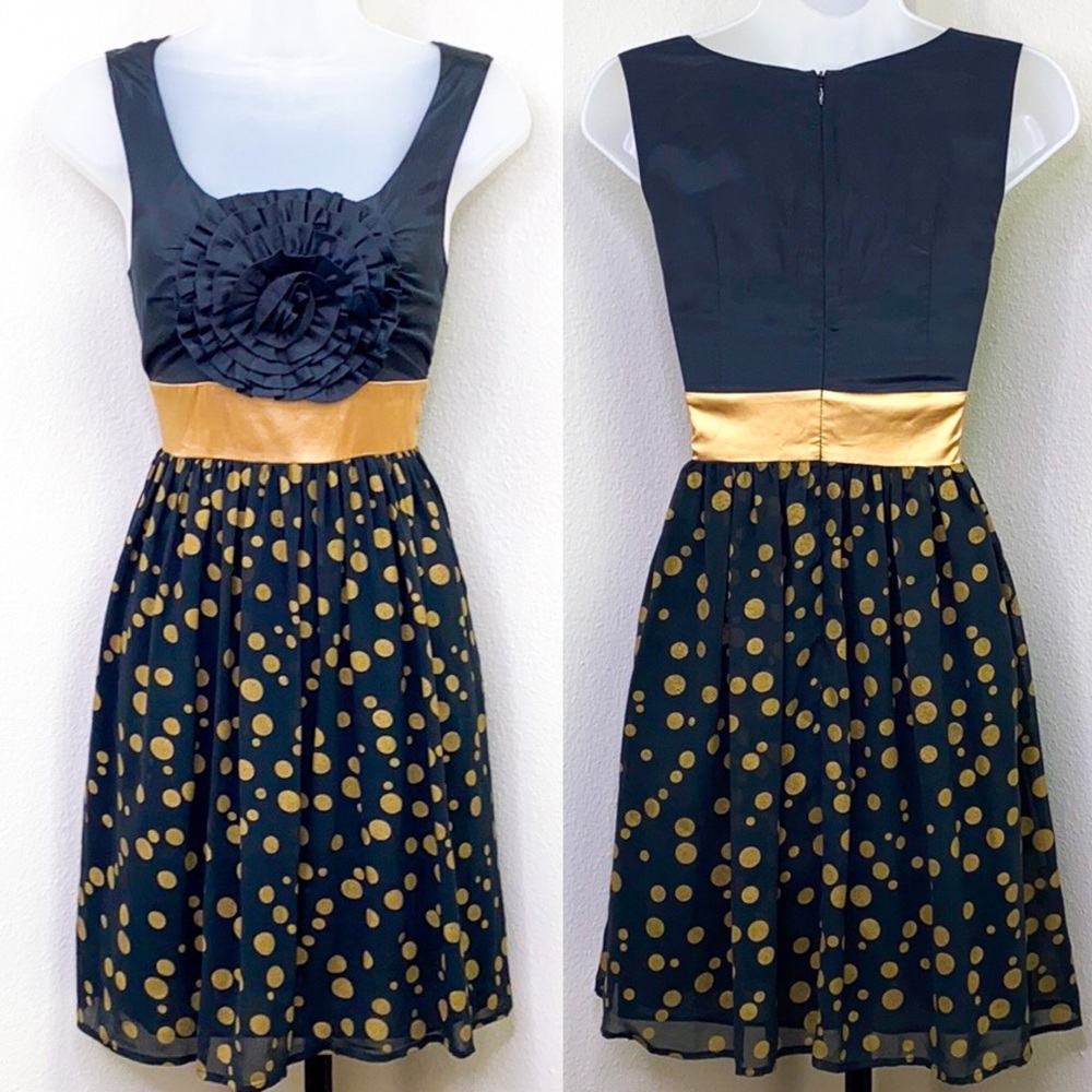 BURLAPP Anthropologie Gold Dot Sheer A-Line Dress
